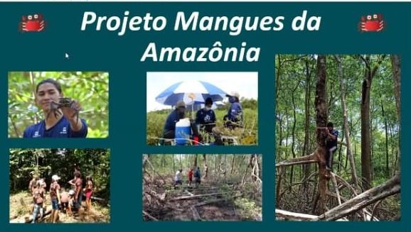O Projeto Mangues da Amaznia