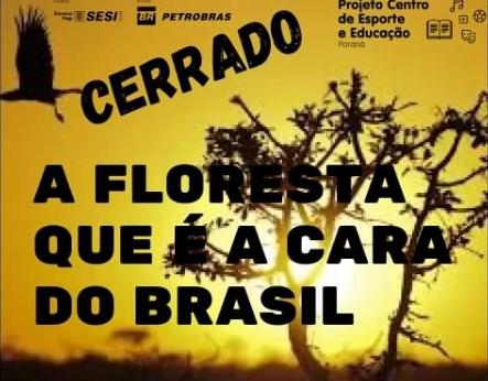 Cerrado e Caatinga