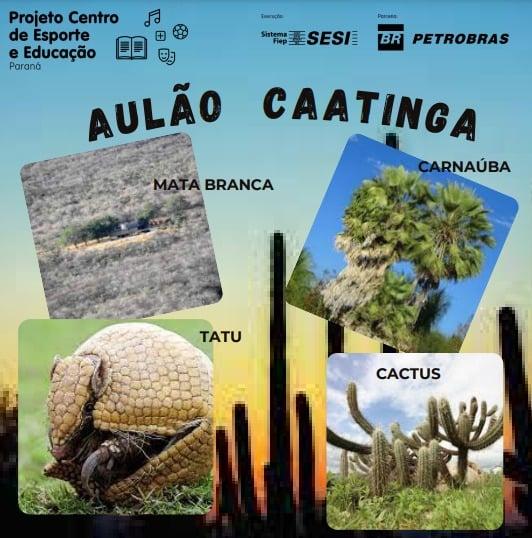 O clima da Caatinga