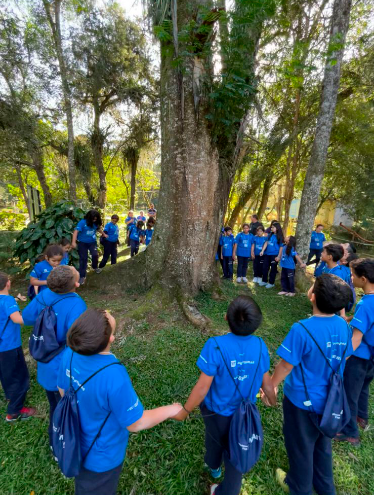 Alunos do Centro de Esporte e Educa&ccedil;&atilde;o em Arauc&aacute;ria