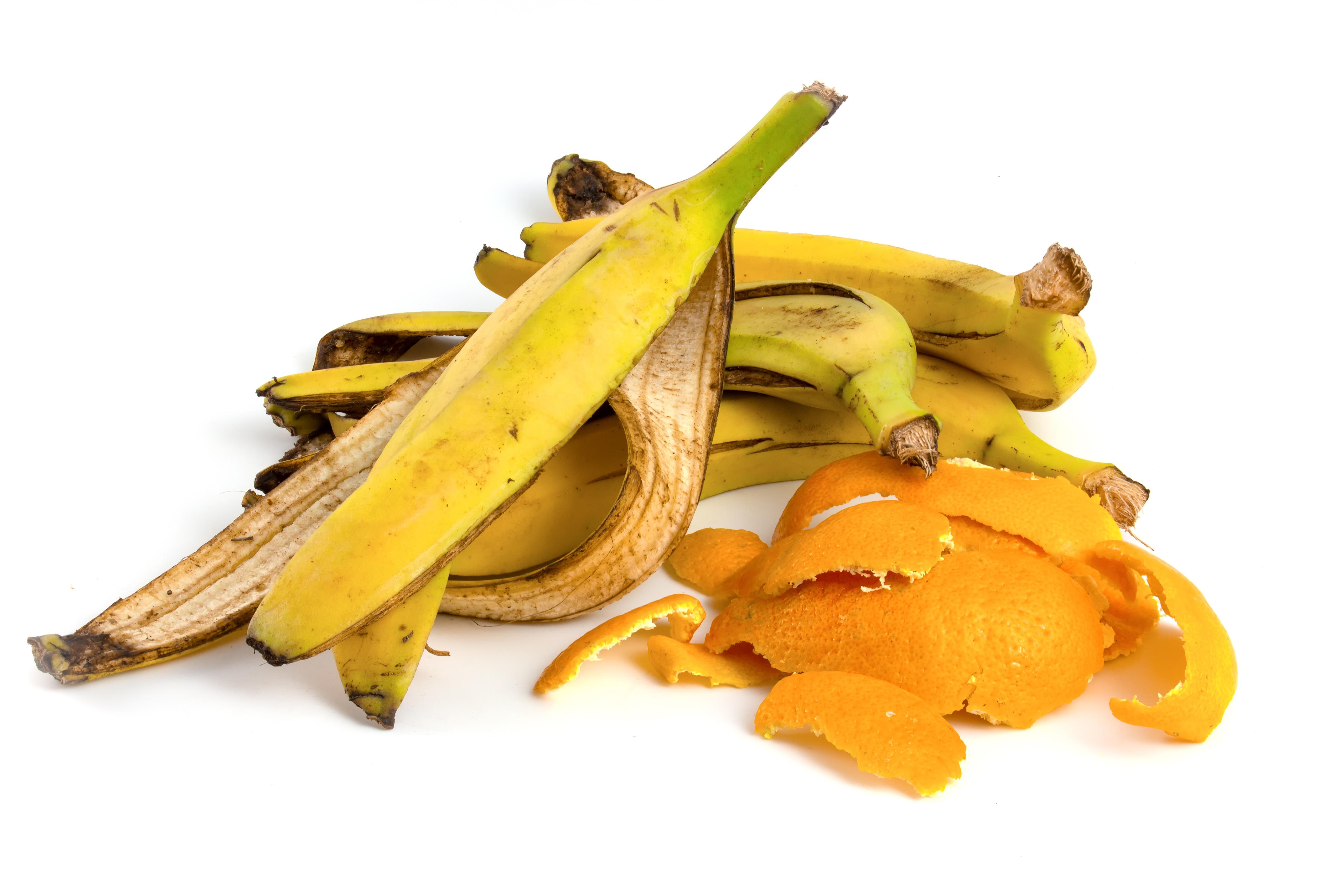 Aproveitamento integral de alimentos