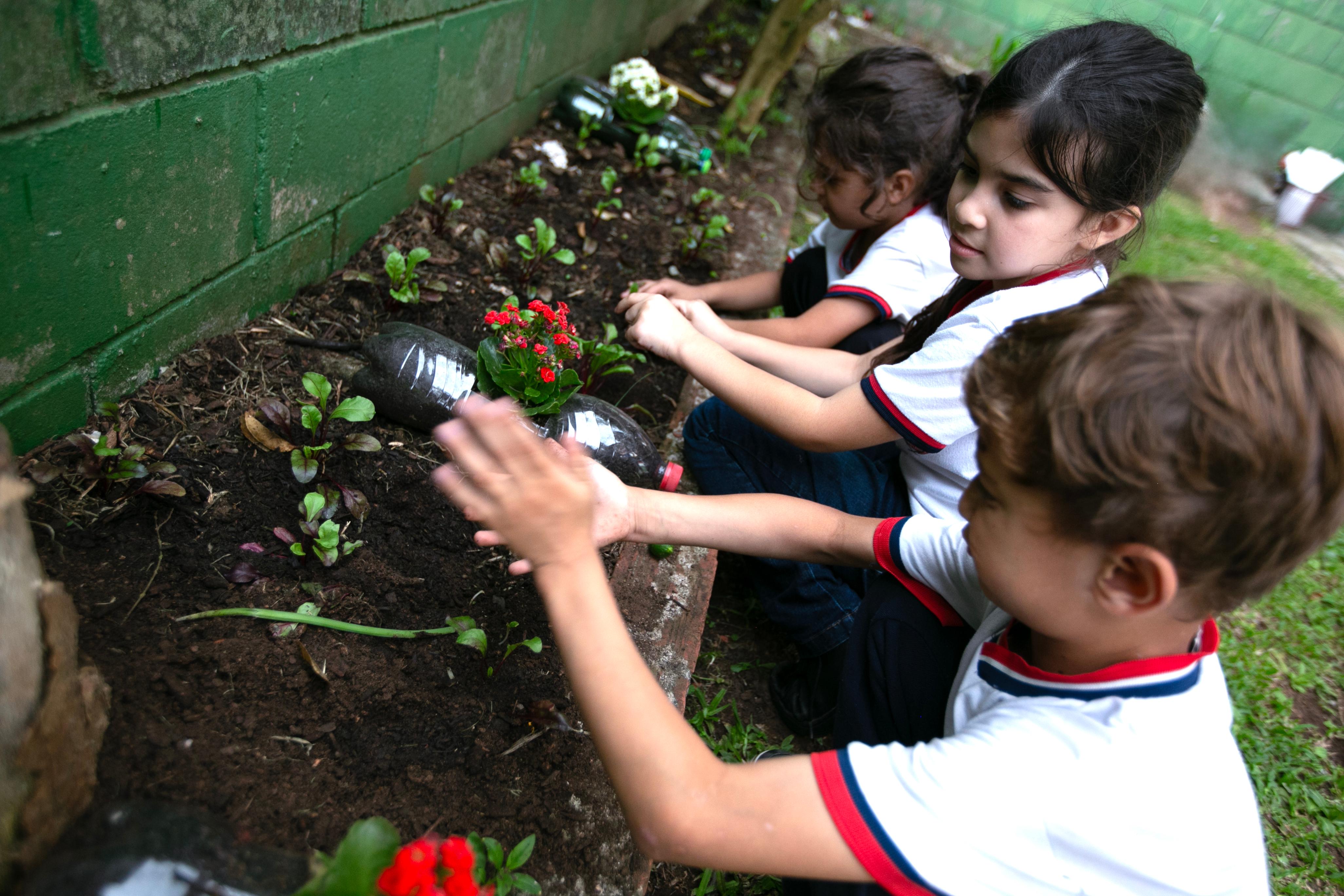 Horta em casa: dicas fáceis para começar a plantar